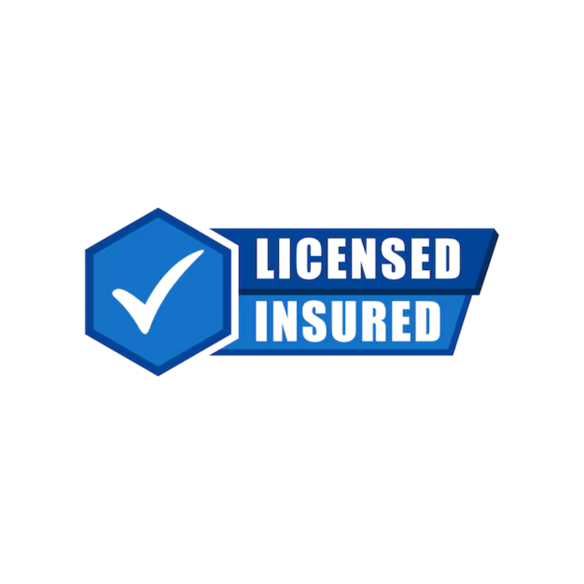 Licensed and Insured Professionals